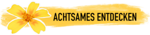Schaltfläche gelb 600px